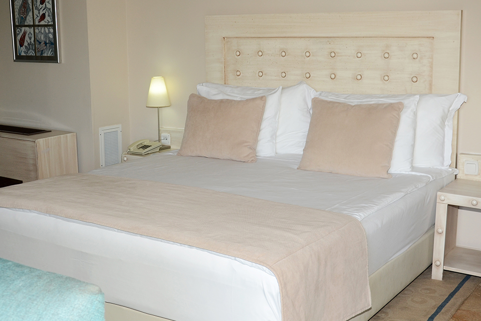  Deluxe Junior Suites